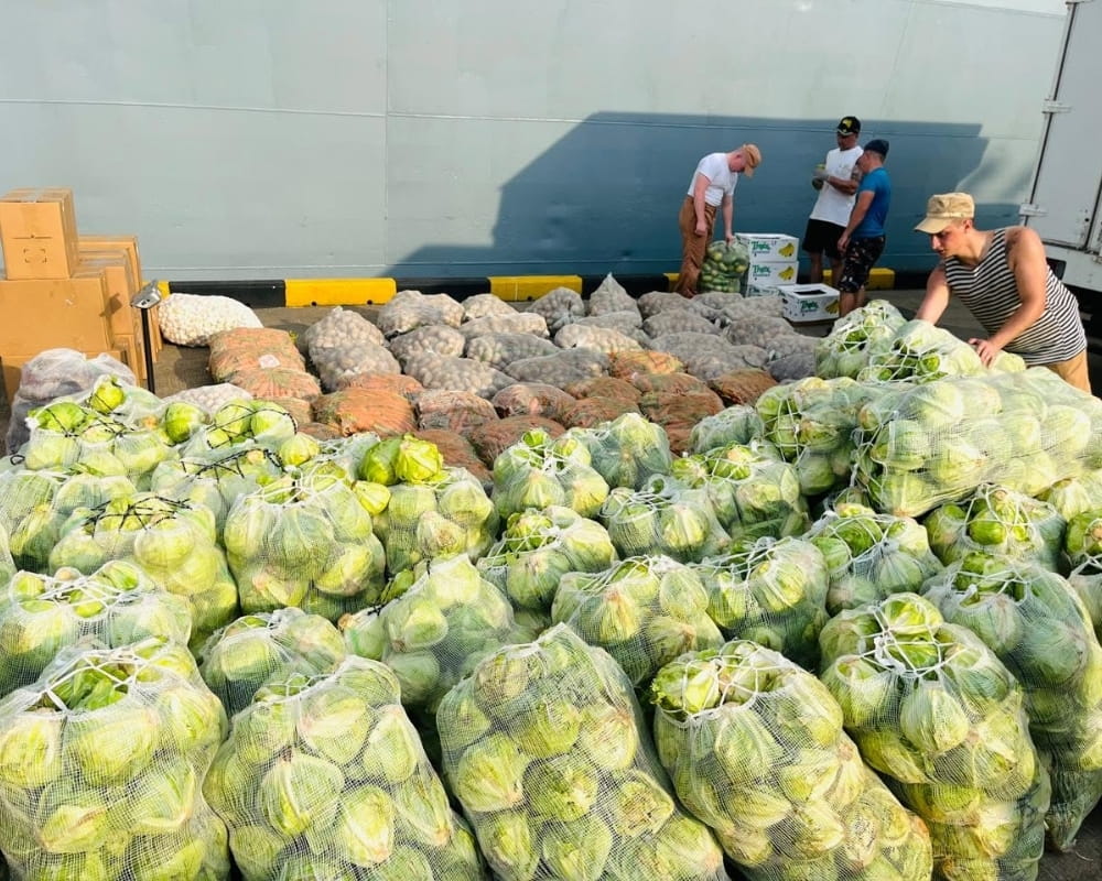 provision supply image 3